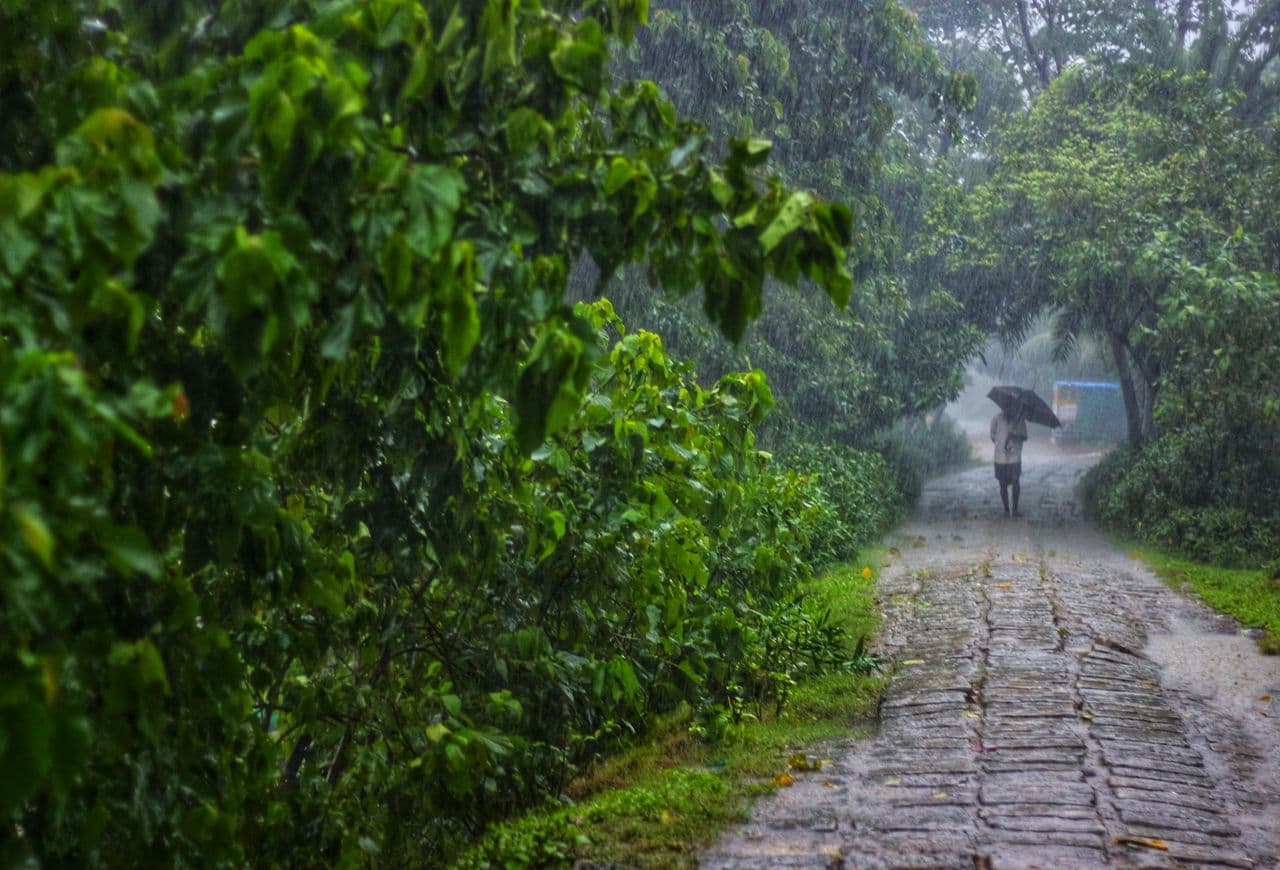 Person walking through heavy evening rain on a wet tree-lined path in India during a thunderstorm downpour