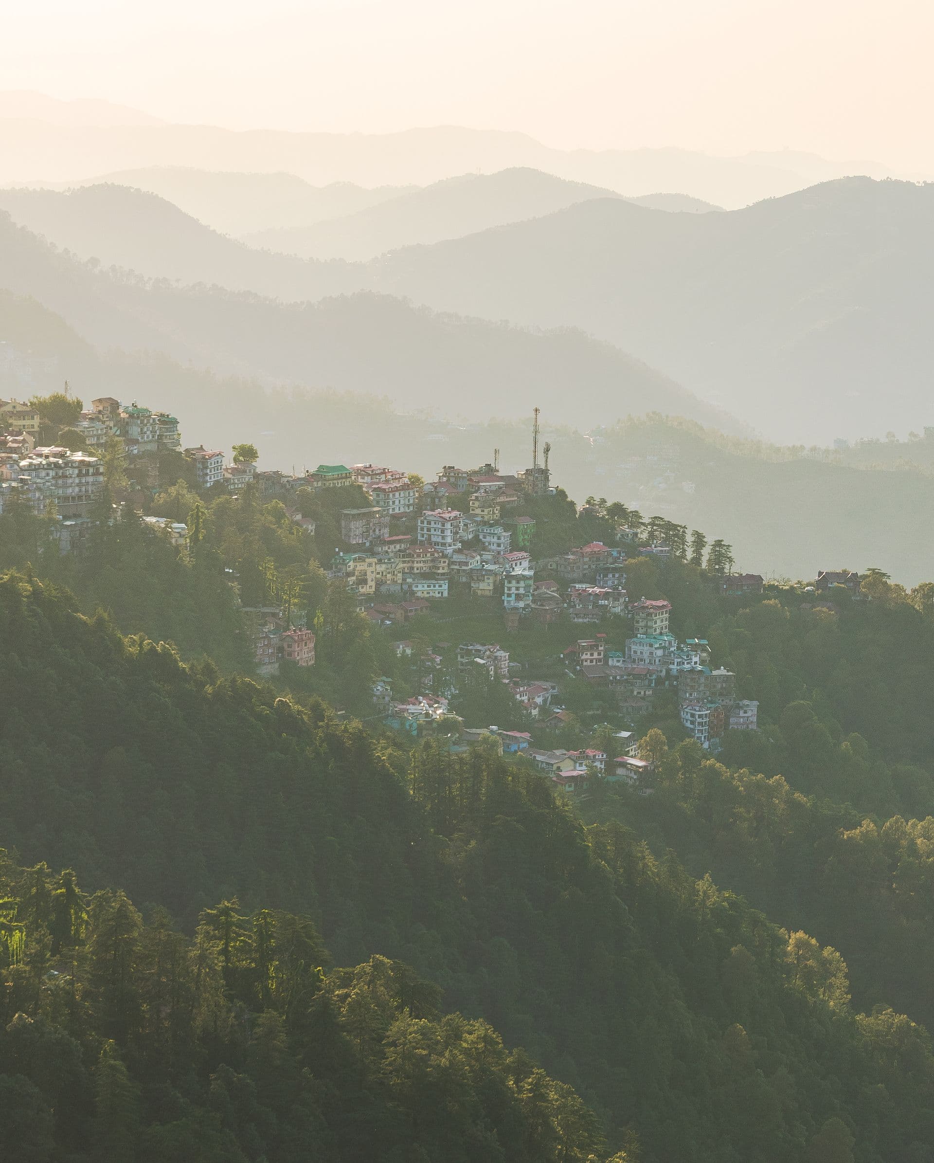 Valley fog filling Himalayan hill station folds below a sunlit forested ridge at dawn in winter