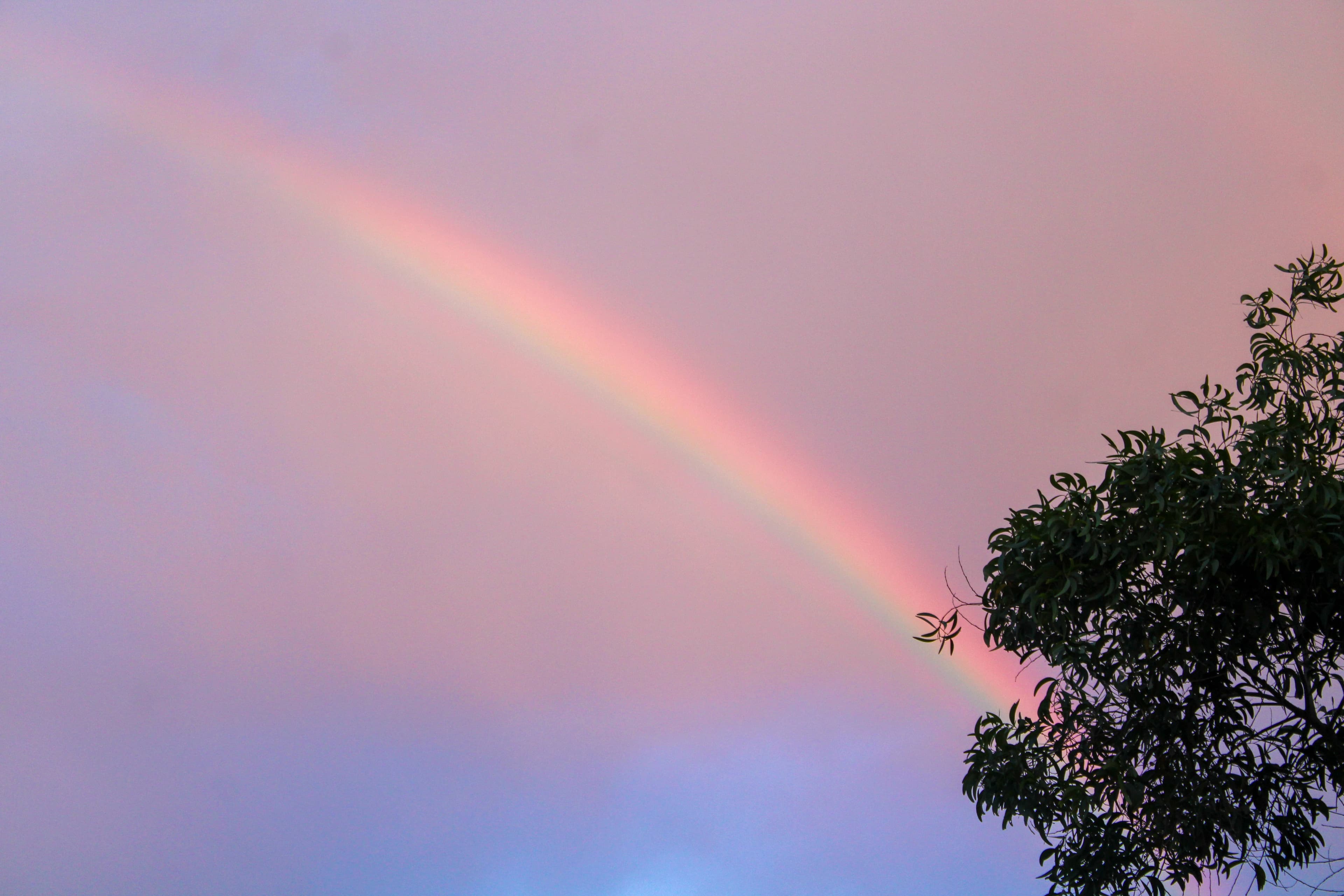 Rainbow over a clearing sky and wet green landscape after an evening thunderstorm fades at dusk